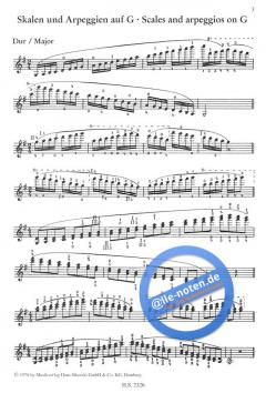 Tägliche Übungen für den Geiger von Elisabeth Gilels 