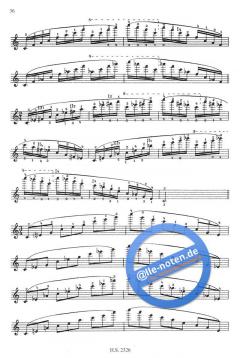 Tägliche Übungen für den Geiger von Elisabeth Gilels 