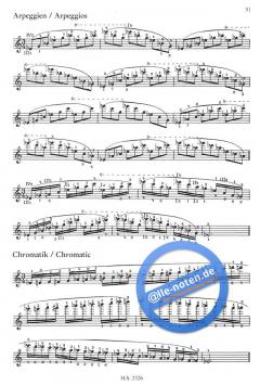 Tägliche Übungen für den Geiger von Elisabeth Gilels 