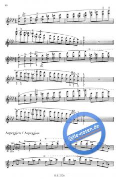 Tägliche Übungen für den Geiger von Elisabeth Gilels 