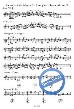 Tägliche Übungen für den Geiger von Elisabeth Gilels 