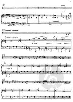 Konzert für Flöte und Orchester von Aram Chatschaturjan im Alle Noten Shop kaufen