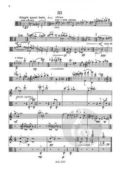 Sonate von Fjodor Druschinin für Viola solo im Alle Noten Shop kaufen