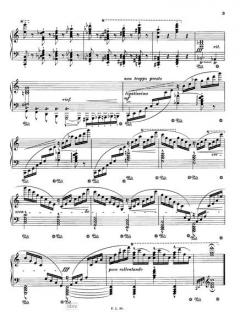 12 études d'exécution transcendante von Frederick Loewe 