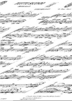 Duetto N. 2 (Petrucci/Mancini) von Saverio Mercadante 