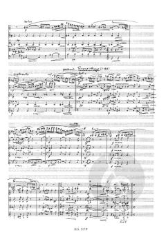 Musica larga (Ilse Fromm-Michaels) 