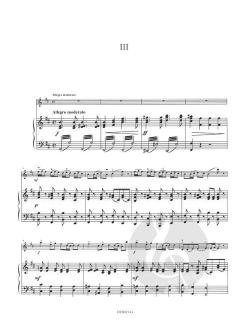 Concerto h-Moll Op. 35 von Oskar Rieding 