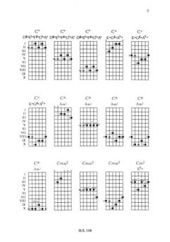 700 Griffe für die Schlaggitarre von Friedrich Stoppa 