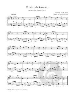 Tastenträume: Wunschmelodien Band 2 