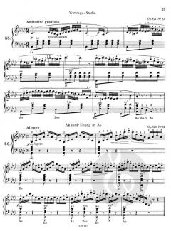 Der strebsame Akkordeonist Band 2 von Carl Czerny im Alle Noten Shop kaufen