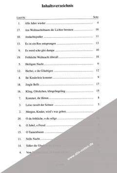 Der Lichterbaum von Josef Hornsteiner 