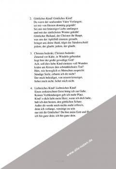 Der Lichterbaum von Josef Hornsteiner 