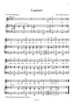 Lapüster von Gunnar Janssen 