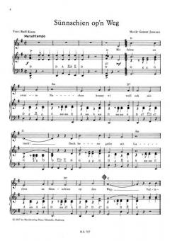 Sünnschien op'n Weg von Gunnar Janssen 