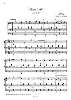 Lateinamerikanische Welterfolge, Heft 2 für elektronische Orgel im Alle Noten Shop kaufen