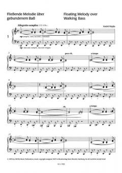 Die Milchstraße Band 2 von André Hajdu 