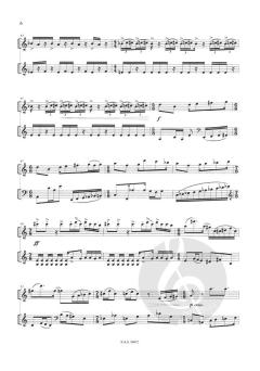 Disco Toccata Clarinette et Violoncelle (Guillaume Connesson) 