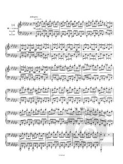 24 Preludes Op. 28 pour Piano von Frédéric Chopin 