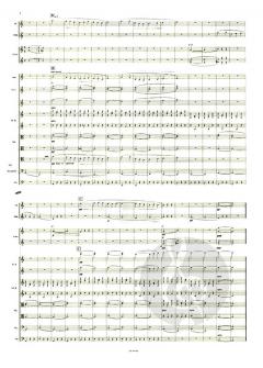 Gymnopedies Nr.1 et Nr.3 Orchestre von Erik Satie im Alle Noten Shop kaufen (Partitur)