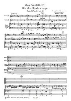 Wie der Hirsch schreyet (David Pohle) 