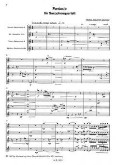 Fantasie von Heinz Joachim Zander 