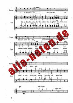 Das Licht leuchtet in der Finsternis 