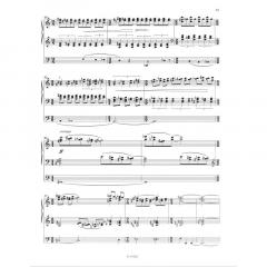 Electron (2001) von Hartwig Hochmair 