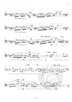 Kadenz zu W.A.Mozart Fagottkonzert in B-Dur (Gernot Wolfgang) 