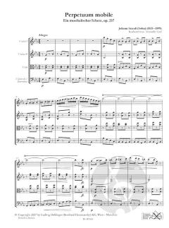 Perpetuum mobile von Johann Strauss (Sohn) 