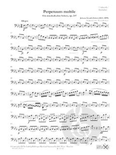 Perpetuum mobile von Johann Strauss (Sohn) 