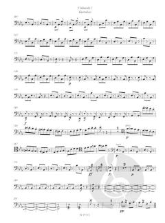 Perpetuum mobile von Johann Strauss (Sohn) 