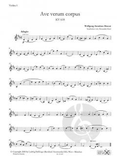 Ave verum corpus/Agnus Dei aus KV 317 (W.A. Mozart) 