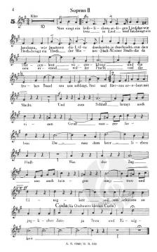 An der schönen blauen Donau (Johann Strauss (Sohn)) 