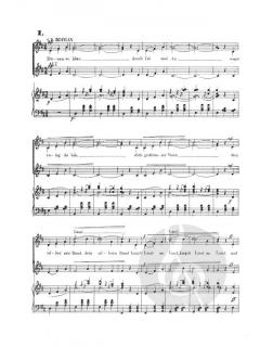 An der schönen blauen Donau (Johann Strauss (Sohn)) 