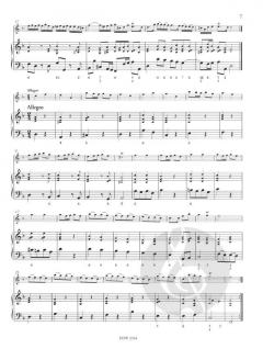 Sonate für Altblockflöte und B.c. op. 2 Nr. 2 in d-Moll (Benedetto Marcello) 