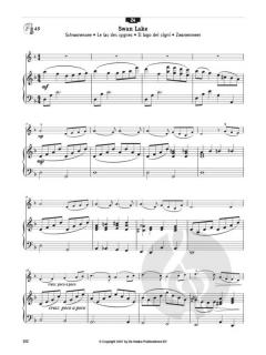 Play the Violin! Vol. 2 von Jaap van Elst 