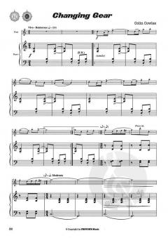 Travellers' Tales von Colin Cowles für Querflöte im Alle Noten Shop kaufen