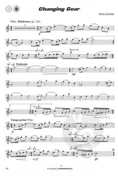 Travellers' Tales von Colin Cowles für Querflöte im Alle Noten Shop kaufen