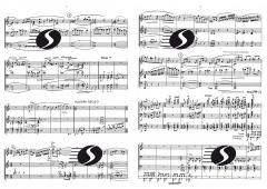 Divertimento (Marcel Poot) 