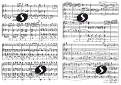 Divertimento (Marcel Poot) 