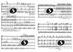 Divertimento (Marcel Poot) 