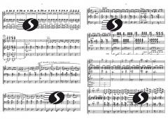 Divertimento (Marcel Poot) 