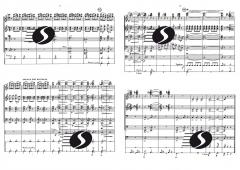 Divertimento (Marcel Poot) 