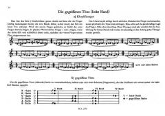 Das Schlaggitarren-Einmaleins von Erwin Schwarz-Reiflingen 