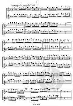 Blockflötenstudien Heft 2 