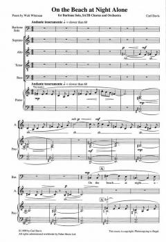 On The Beach at Night Alone (Full Version) von Carl Davis 