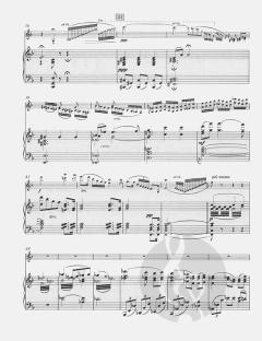 A Song Of The Night (Violin And Piano) von Gustav Holst im Alle Noten Shop kaufen