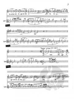 Two Motets von Michael Finnissy 