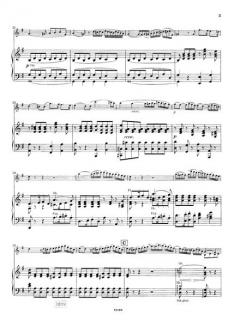 Romanzen G-Dur und F-Dur op. 40/50 von Ludwig van Beethoven 