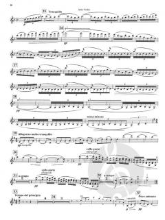 The Lark Ascending von Ralph Vaughan Williams 